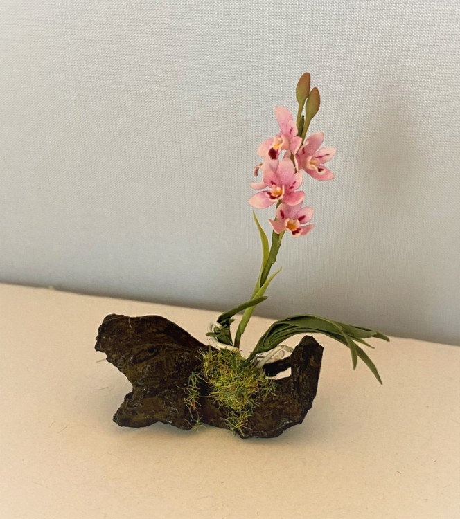 Light Pink Flower in Rock - Click Image to Close